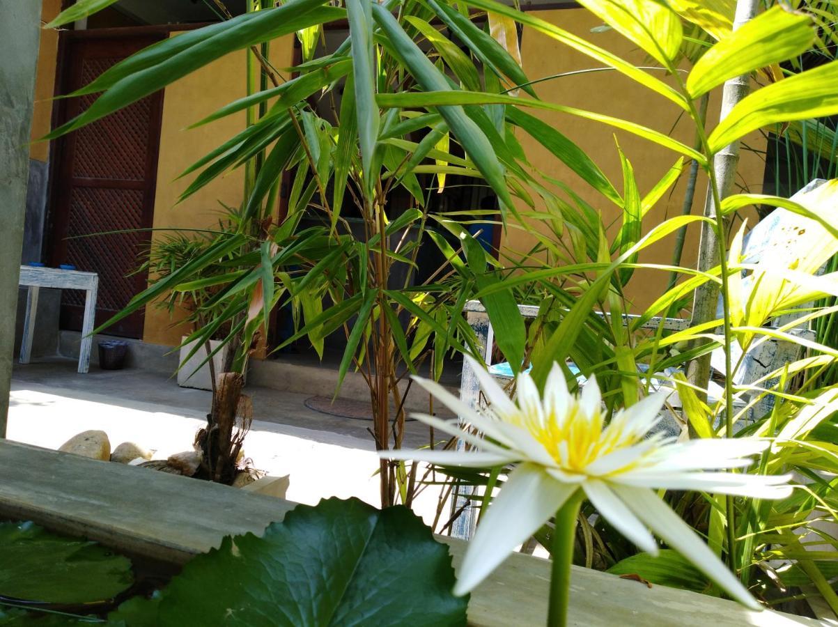Cycling Backpacker Hostel & Cafe อูนาวาตูนา ภายนอก รูปภาพ